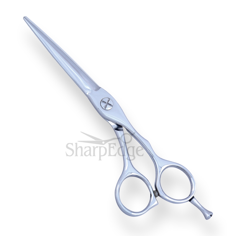 Professional Hair Dressing Scissors 